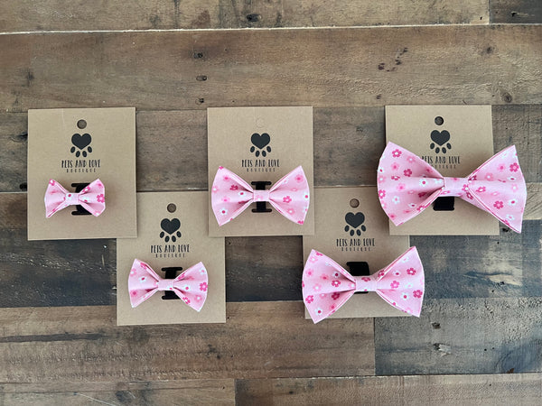 Retro Pink Daisy Pet Bow