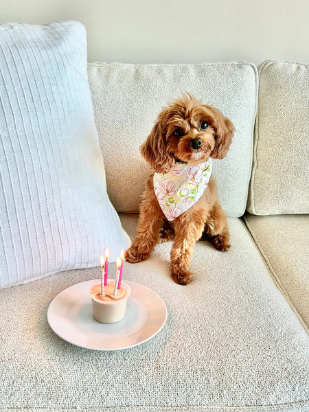 Poppy Flowers Dog Bandana