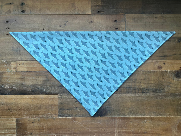 Sharks Dog Bandana
