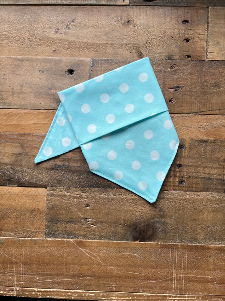 Spring Blue Polka Dots Dog Bandana Pastel Blue