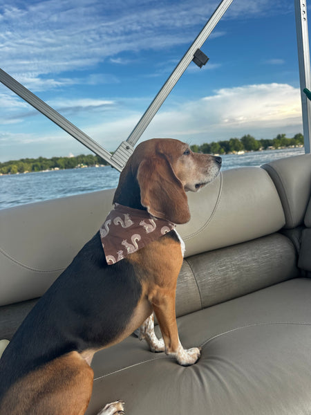Squirrel Patrol Dog Bandana