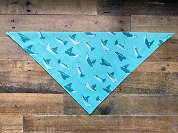 Sting Rays Dog Bandana