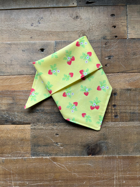 Strawberry Dog Bandana Yellow Background
