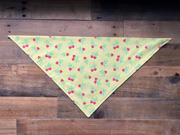 Strawberry Patch Dog Bandana