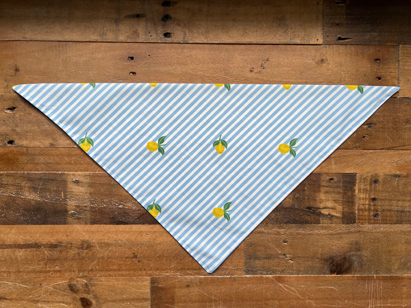 Summer Lemons Dog Bandana - Blue