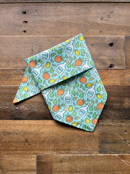 Tequila Party Dog Bandana