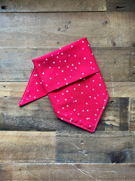 Valentines Confetti Hearts Dog Bandana