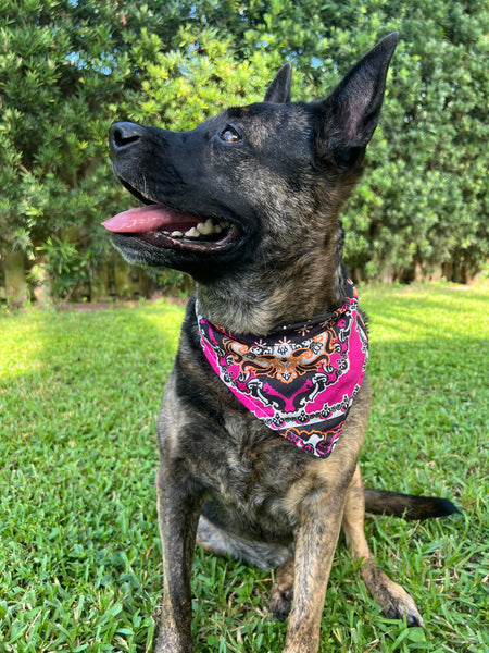 Venezia Nights Dog Bandana