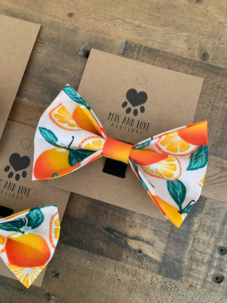 Oranges Dog Bow