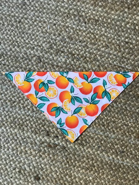 Oranges Dog Bandana - Pink