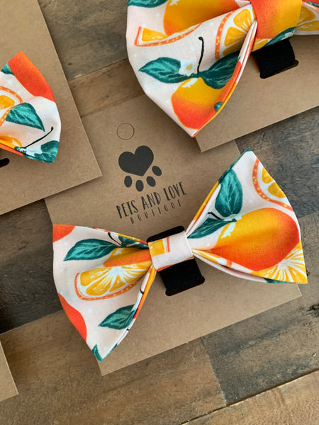 Oranges Dog Bow