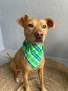 Green Plaid Dog Bandana