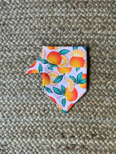 Oranges Dog Bandana - Pink