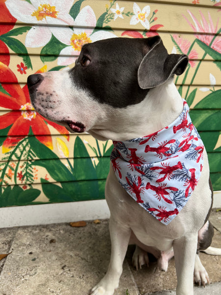 Lobsters Dog Bandana
