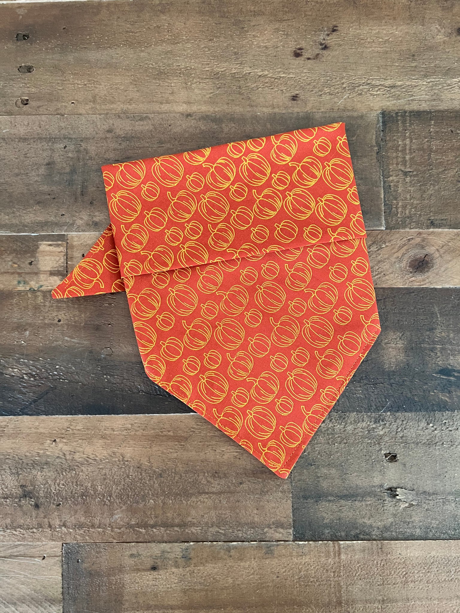 Fall Pumpkins Dog Bandana - Orange