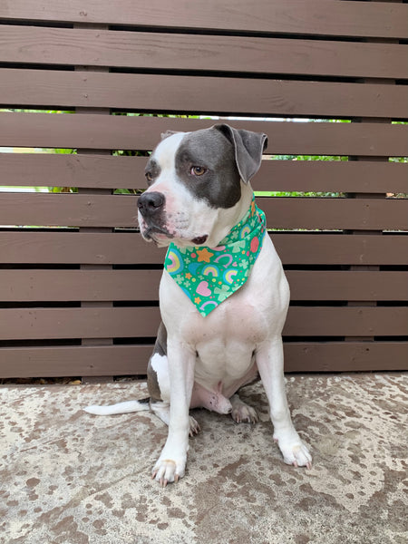 St. Patricks Day - Lucky Charms Dog Bandana